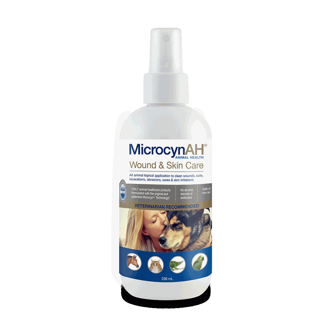 Best Pet Groomer